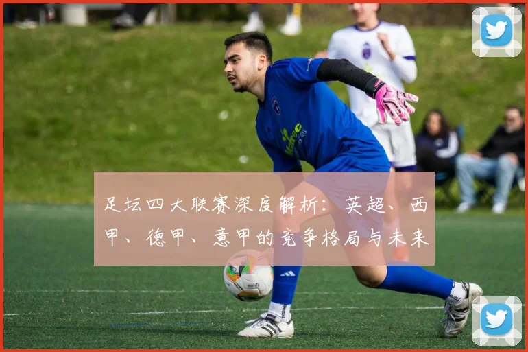 足坛四大联赛深度解析：英超、西甲、德甲、意甲的竞争格局与未来展望